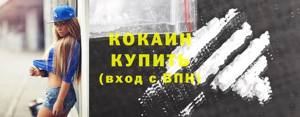 гидра Каменногорск